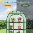 thumbnail image 5 of GAZEBETER Small Greenhouse 4-Tier,40 x 18 x 63'' Mini Greenhouse for Indoor Outdoor,Portable Plastic Plant Green House Mini with Roll-up Zipper Door,Green, 5 of 10