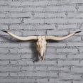 thumbnail image 5 of Long Horned Decor Skull Halloween Decoration Wall Decor Skull Decor Skull Figurines Crafts Head For Holiday Bedroom .5x32x12cm, 5 of 8