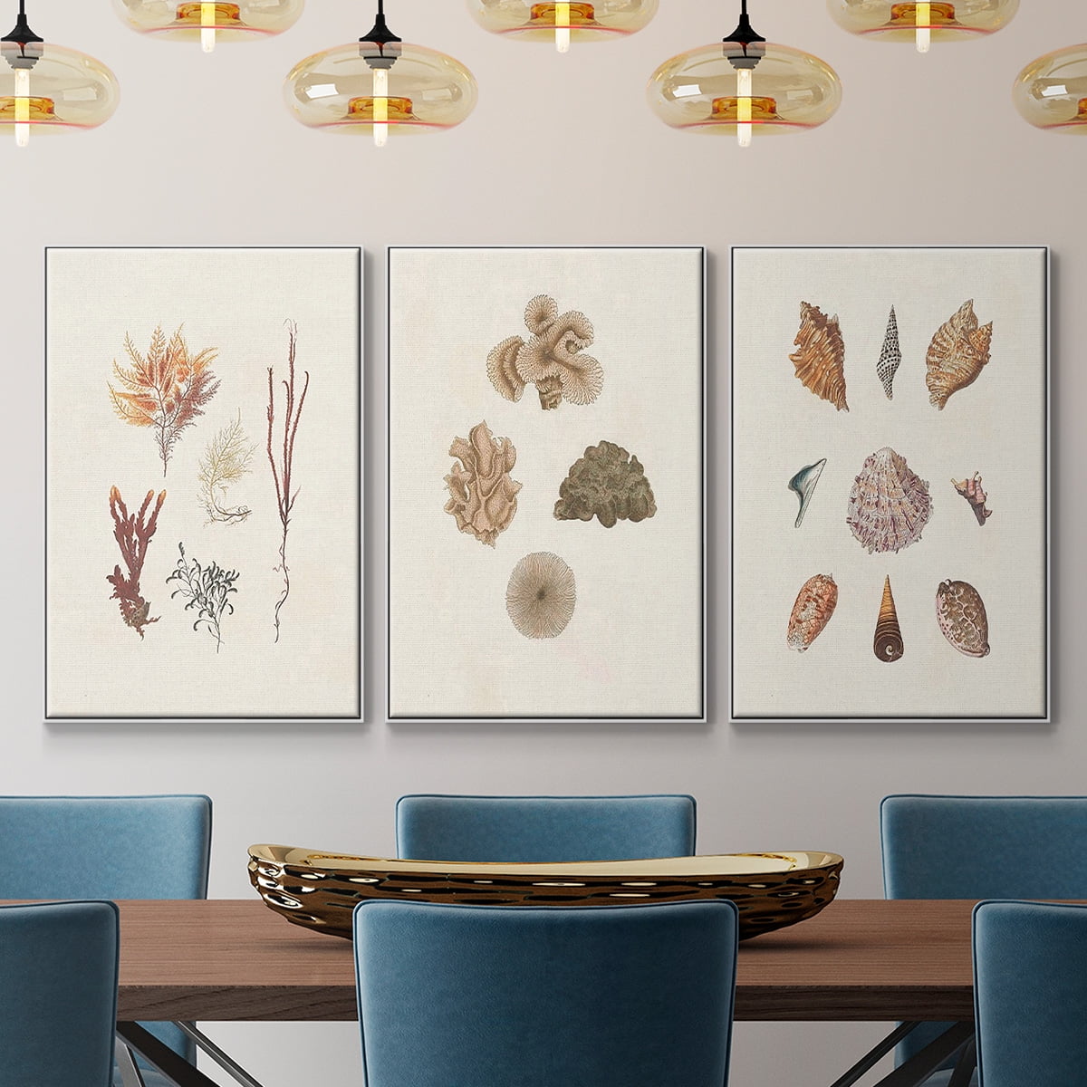 Knorr Shells & Coral VI - Framed Premium Gallery Wrapped Canvas L Frame 3 Piece Set - Ready to Hang