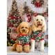 thumbnail image 4 of Pijama para Perro Fitwarm de Terciopelo Navideño para Pequeños Rojo y Verde, 4 of 7