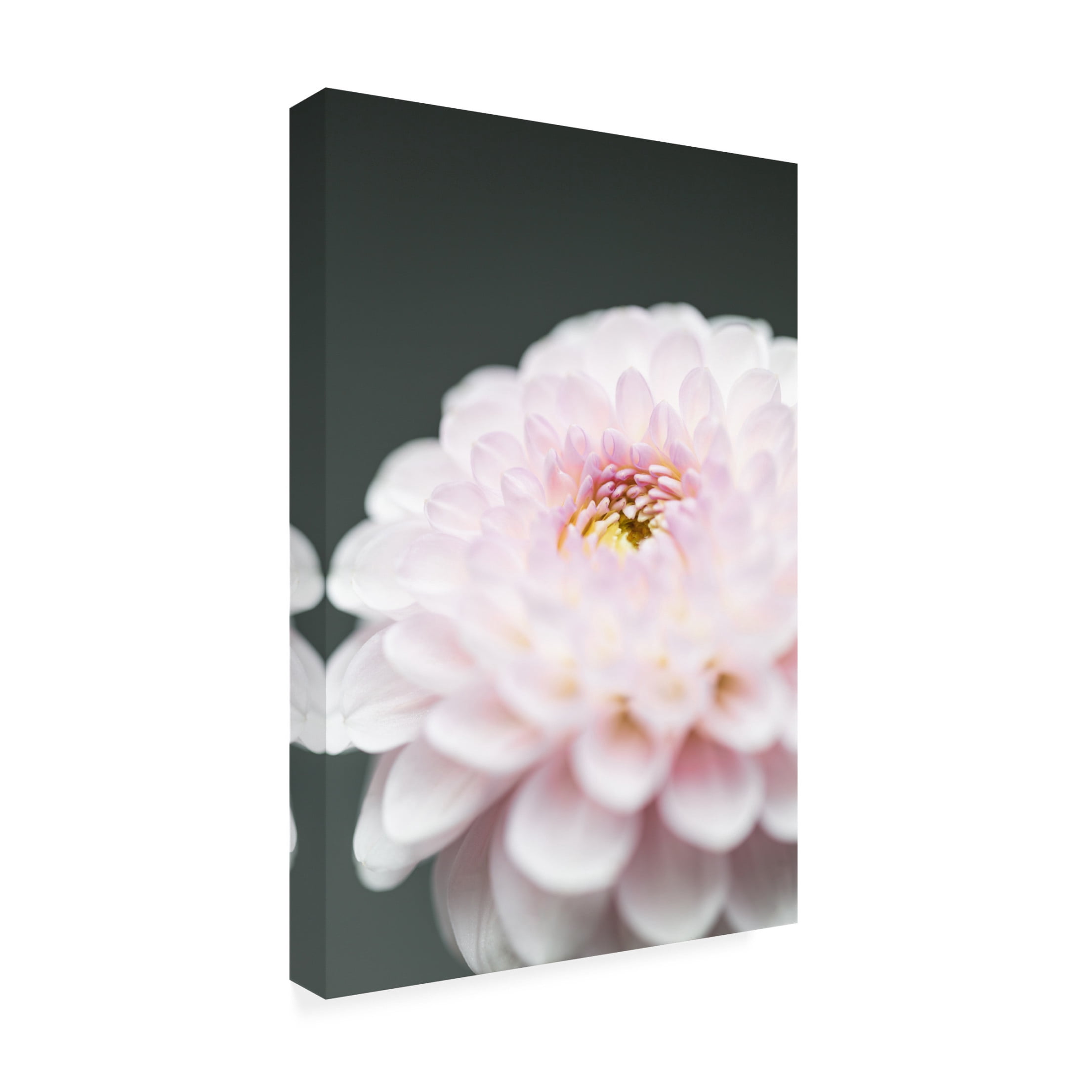 Trademark Fine Art Pictufy Studio Pink Flower No1 Canvas Wall Art