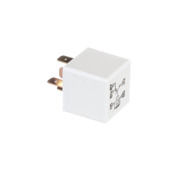 Fuel Injection Relay