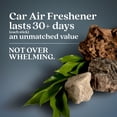 thumbnail image 2 of Ambientador para coche Enviroscent Auto Stix® Coastal Storm & Teakwood, 2 of 6