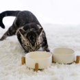 thumbnail image 2 of Spunkyjunky Cuenco De Cerámica Para Perros Y Gatos Con Soporte De Madera, Juego De Agua Y Comida Ponderada Con Esmalte Mate Antideslizante Para Gatos Y Perros Pequeños, 13,5 Onzas, 2 of 5