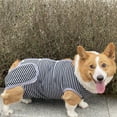 thumbnail image 1 of Paokuoon Pet Physiological Suit Pet Suit Stripe Printing Dog Recovery Clothes, 1 of 8