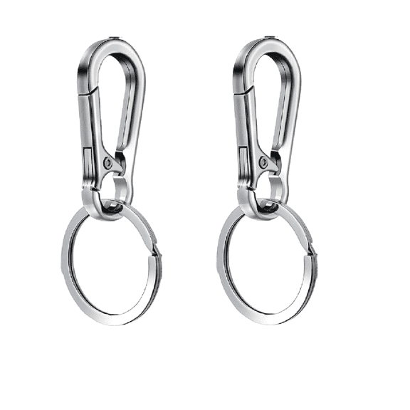 TRIANU 2 Pcs Metal Carabiner Clip, Keychain Clip Rings Metal Key Chain, Carabiner Clip Keyring Holder Organizer for Car - Key Finder Jewelry and Art Crafts Gift, Silver
