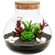 Micro Landscape Ecological Bottle Decor DIY Empty Hydroponic Plant Vase Mini Flower Moss Crafts Glass Globe Office