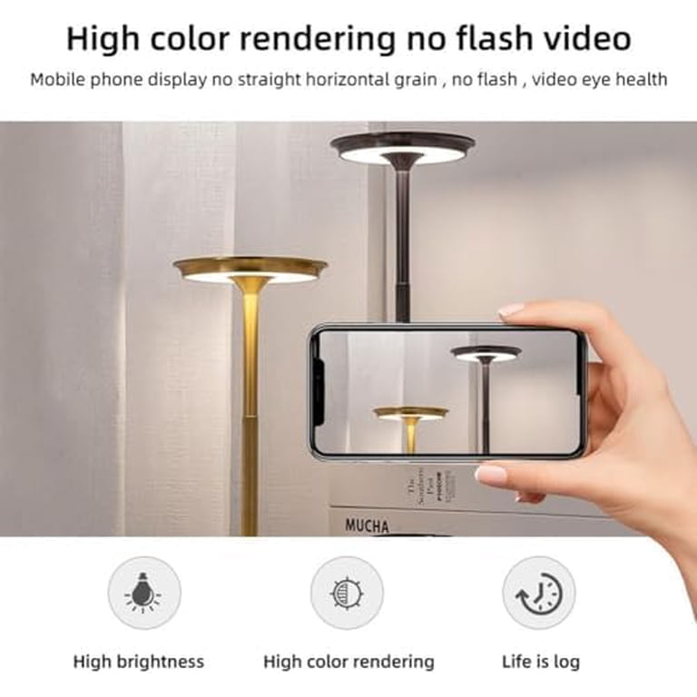 Lampe De Table Portable Rechargeable Vianys Ecolume - Lampe Tactile Métallique Extérieure
