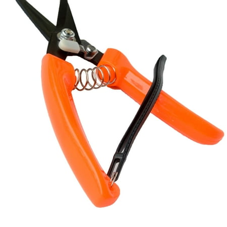 

Gazdag Hoof Trimming Shears for Sheep Goat Hoof Trimmers Multi-Purpose Carbon Steel Pruning Shears for Used by Farmers Florists and Home Gardeners