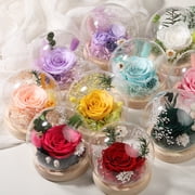 DFS Preserved Rose in Glass Dome, Forever Eternal Rose Flowers Bouquet, Long-Lasting Real Flowers for Her, Women, Mom, Wife, Birthday, Anniversary, Christmas - Champagne