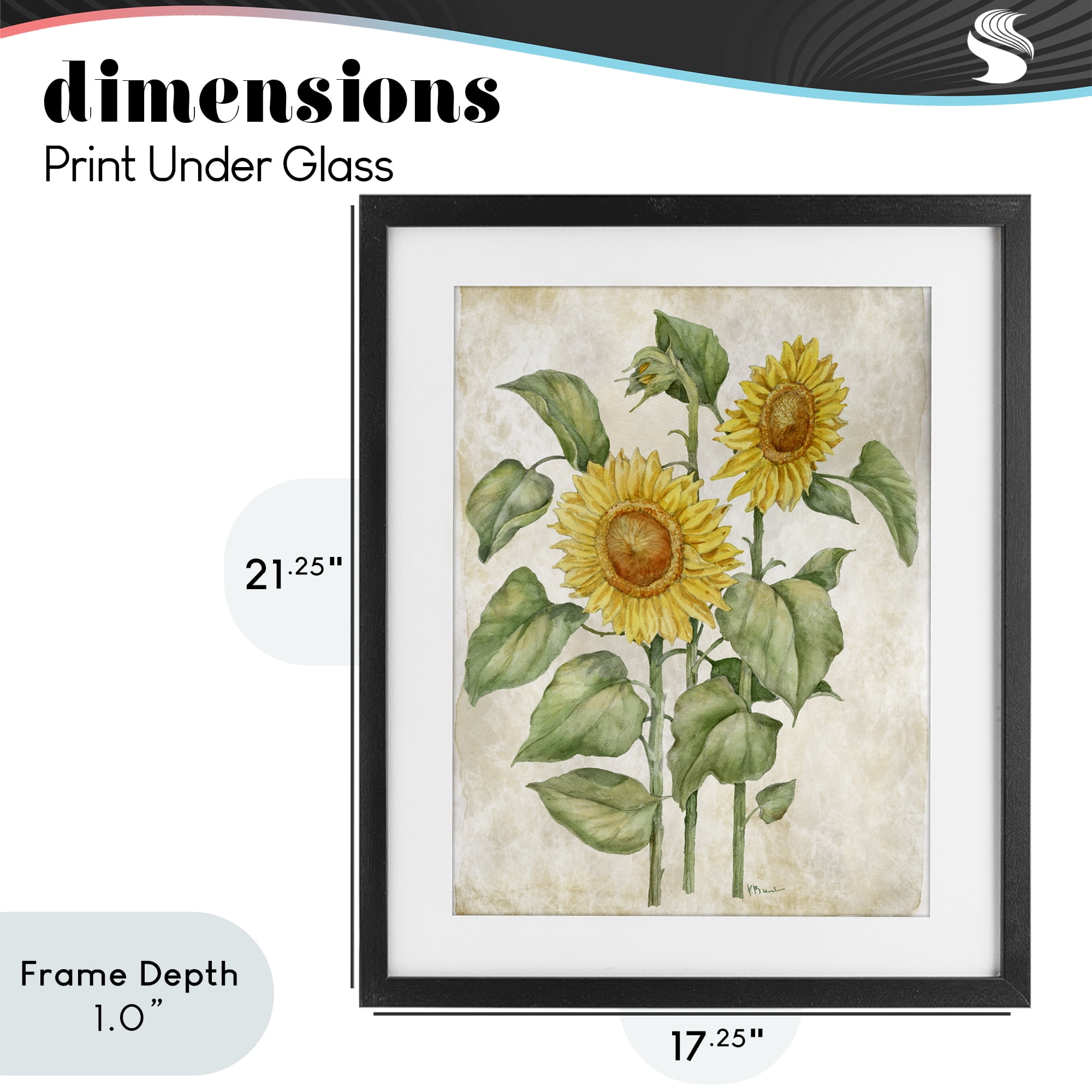 Stupell Industries Floral Journal Vintage Sunflower Black Framed Print Under Glass, design by Paul Brent