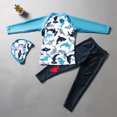 thumbnail image 2 of Children Boy Long-sleeved Split Dolphin Pattern Sun Protection Swimsuit Sky blue L, 2 of 8