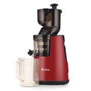 Roughy Rocky Juicer Machines, Slow Juicer Masticating Juicer with 2-Speed Modes, Cold Press Juicer Extractor Easy to Clean, Quiet Motor, Reverse Function with Brush Recipes for Fruits Vegtables