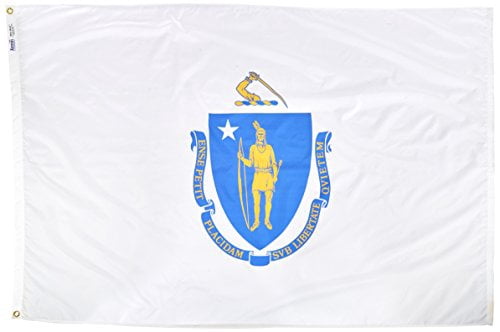 Annin Flagmakers Georgia State Flag Nylon SolarGuard 2x3 Fuß (60x90 Cm) – Offizielle Design-Spezifikationen, In USA Gefertigt