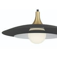 thumbnail image 5 of Eurofase 46785-046 Welsh 30 in. Matte Black White Glass Pendant Ceiling Light, 5 of 8