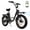 Black, variant on 750W Motor Step-Thru Cargo Ebike for Adults,62 Miles Range 20*3" Tires Electric Mountain Bike,48V 20Ah Battery,White