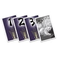 thumbnail image 2 of Hanabi, Expansion de la Poudre Noire, 2 of 3