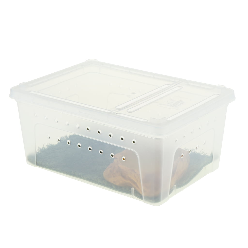 Transparent Plastic Box Insect Reptile Transport Breeding Live Food Feedi SELL 