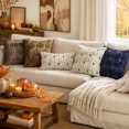 thumbnail image 4 of Fall Pumpkin Plush Pillow Covers 18x18, Faux Fur Decorative Pillow Cases for Couch, Halloween Decor for Living Room Bedroom, 2 Set, Beige Brown Stem, 4 of 7