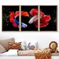 thumbnail image 2 of wall26 Framed Canvas Print Wall Art Set Vibrant Multicolor Tropical Ocean Betta Fish Nature Animals Photography Realism Rustic Landscape Colorful for Living Room, Bedroom, Office - 16"x24"x, 2 of 5
