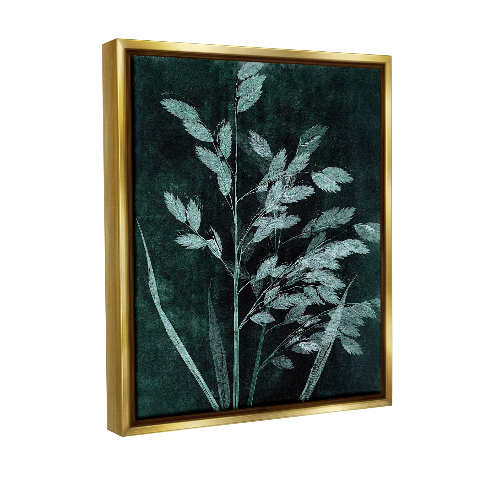 Stupell Industries Green Botanical Imprints Botanical & Floral Painting Gold Floater Framed Canvas Art Print Wall Art, 25 x 31