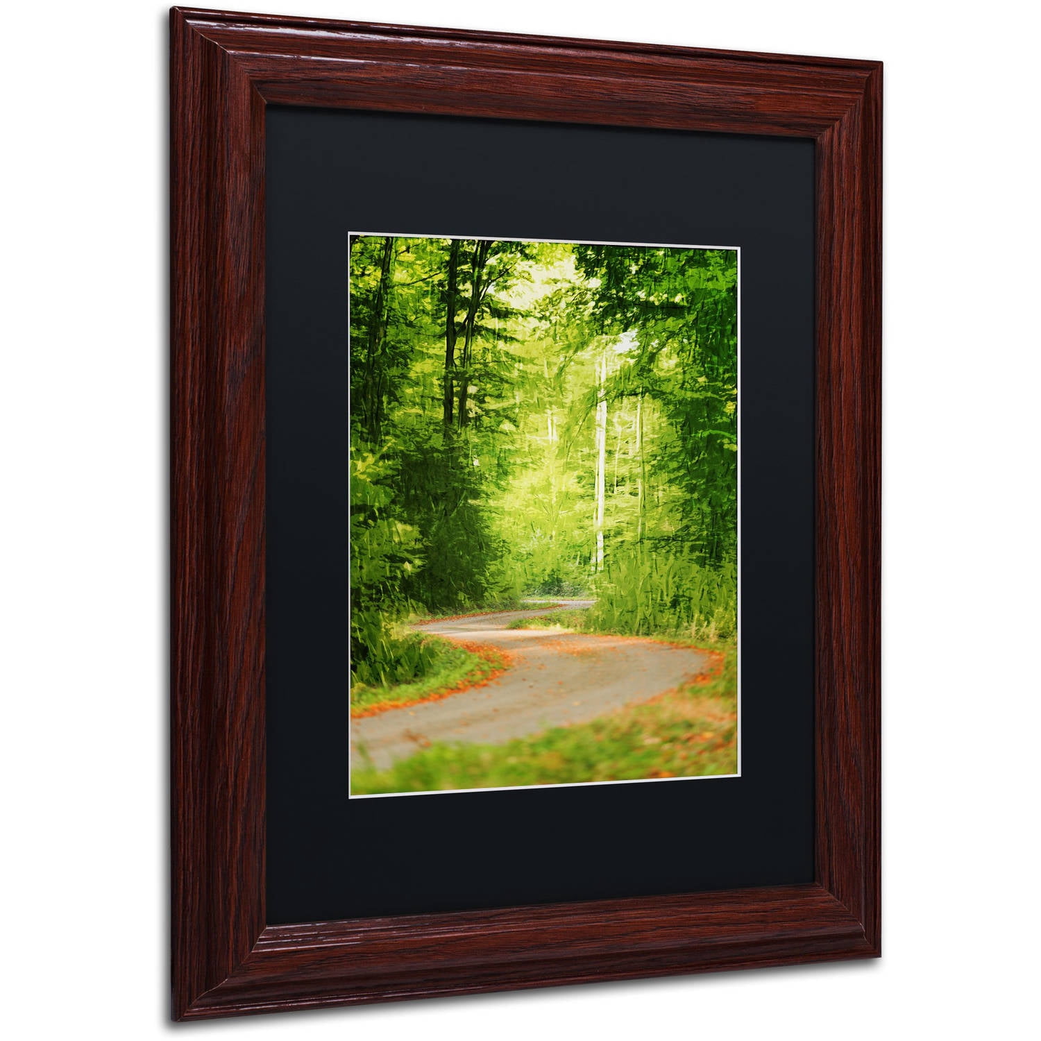 Trademark Fine Art "S Road" Canvas Art by Philippe Sainte-Laudy Black Matte, Wood Frame