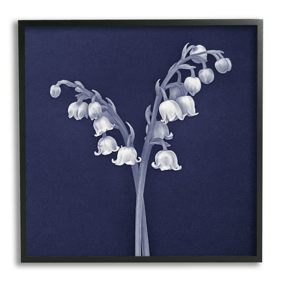 Stupell Industries Lily of Valley White Drooping Blooms Illustration Painting Black Framed Art Print Wall Art, Design by Graffitee Studios
