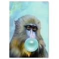 thumbnail image 1 of Awkward Styles Monkey Chewing Bubble Gum Poster Wall Art for Kids Bubble Gum Poster Monkey with Bubble Gum Artwork Gift Made in USA Cute Monkey Poster for Office Decor Monkey Artwork Animal Picture, 1 of 4