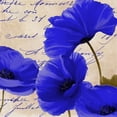 thumbnail image 2 of Sasha 20x20 Black Ornate Wood Framed with Double Matting Museum Art Print Titled - Coquelicots Bleues I, 2 of 4