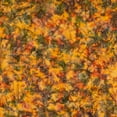thumbnail image 2 of Expressions Batiks Hand-Dyes Orange Multi 1 (1yard), 2 of 2