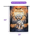 thumbnail image 5 of Mummy Havanese Happy Halloween with Pumpkins Bats Spooky Fun House Flag 28x40in Double Sided Havanese Dog Lover Gifts Idea Outdoor Decor - 00019, 5 of 5
