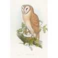 thumbnail image 2 of John Gould 17x24 Black Ornate Framed Double Matted Museum Art Print Titled: Indian Screech Owl (1850-1883), 2 of 5