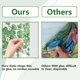 thumbnail image 2 of Pegatinas para ventana de plantas verdes de 45,7 x 15 pulgadas, grandes enredaderas, hojas de hiedra, calcomanías para ventana, película estática no adhesiva de doble cara., 2 of 9