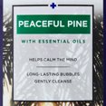 thumbnail image 5 of (2 pack) Dr Teal's Peaceful Pine Glow Pure Epsom Salt Foaming Bath, 14 oz, 5 of 6