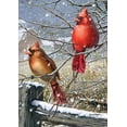 thumbnail image 1 of 1010431 "Blizzard Buddies Winter/Birds" Decorative House Flag, 28" X 40", 1 of 5