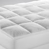 Plush Top Feather Bed