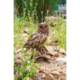 thumbnail image 2 of Hi-Line Gift 87650-B Driftwood Barn Owl On Stump Statue, 2 of 5