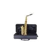 Prelude by Selmer PAS111 Student Alto Saxophone Outfit