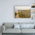 thumbnail image 3 of Trademark Fine Art 'Along the Fence II Crop' Canvas Art by Aledanda, 3 of 3