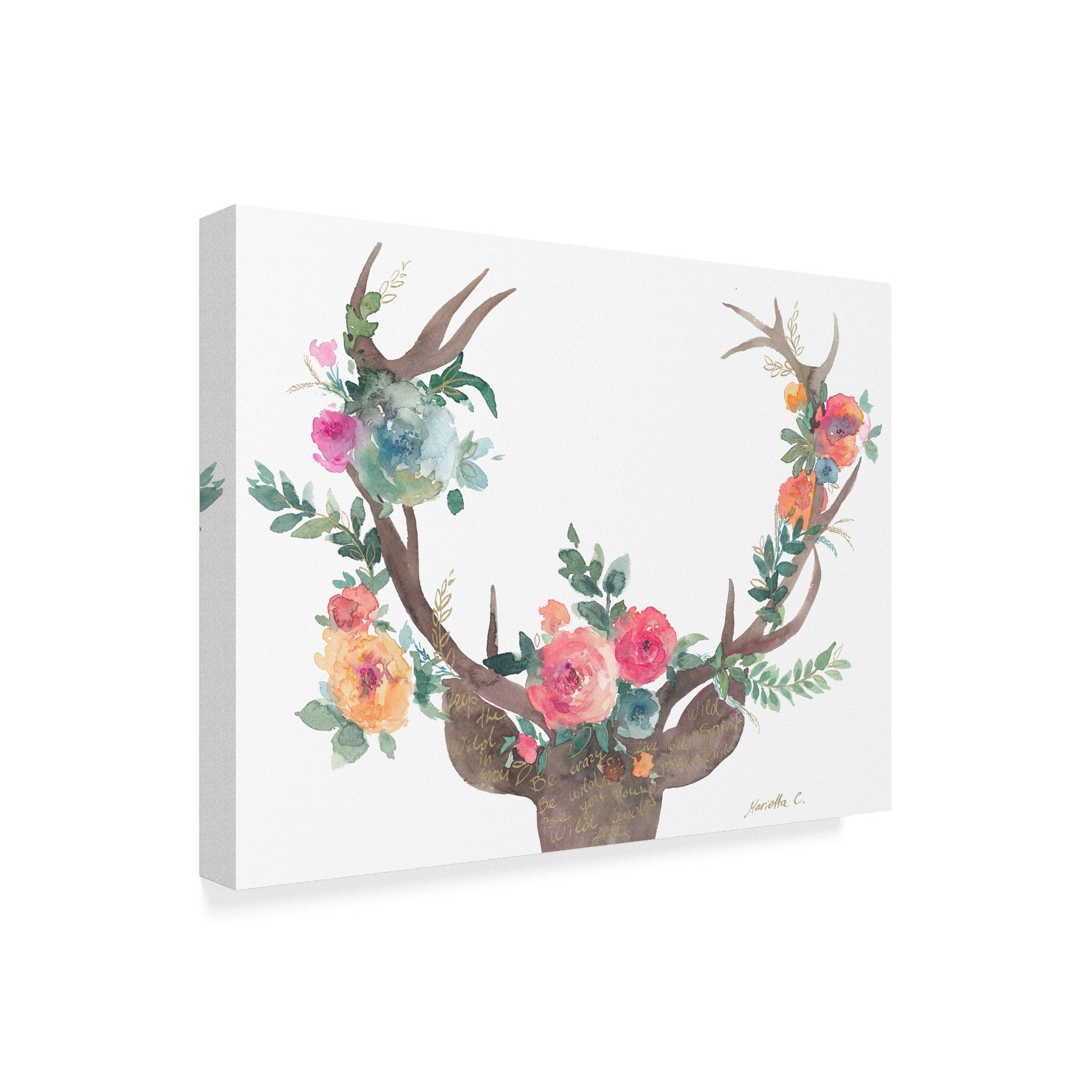 Trademark Fine Art 'Wild Child Deer' Canvas Art by Marietta Cohen Art And Design