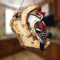 thumbnail image 5 of Vintage 2D Bird Wooden Signage, 2D Bird Wooden Hanging Ornament, Handmade Boxwood Bird Wall Hanging, Rustic Farmhouse Style Wall Decor Bird for Indoor & Outdoor 1Pcs, 5 of 6