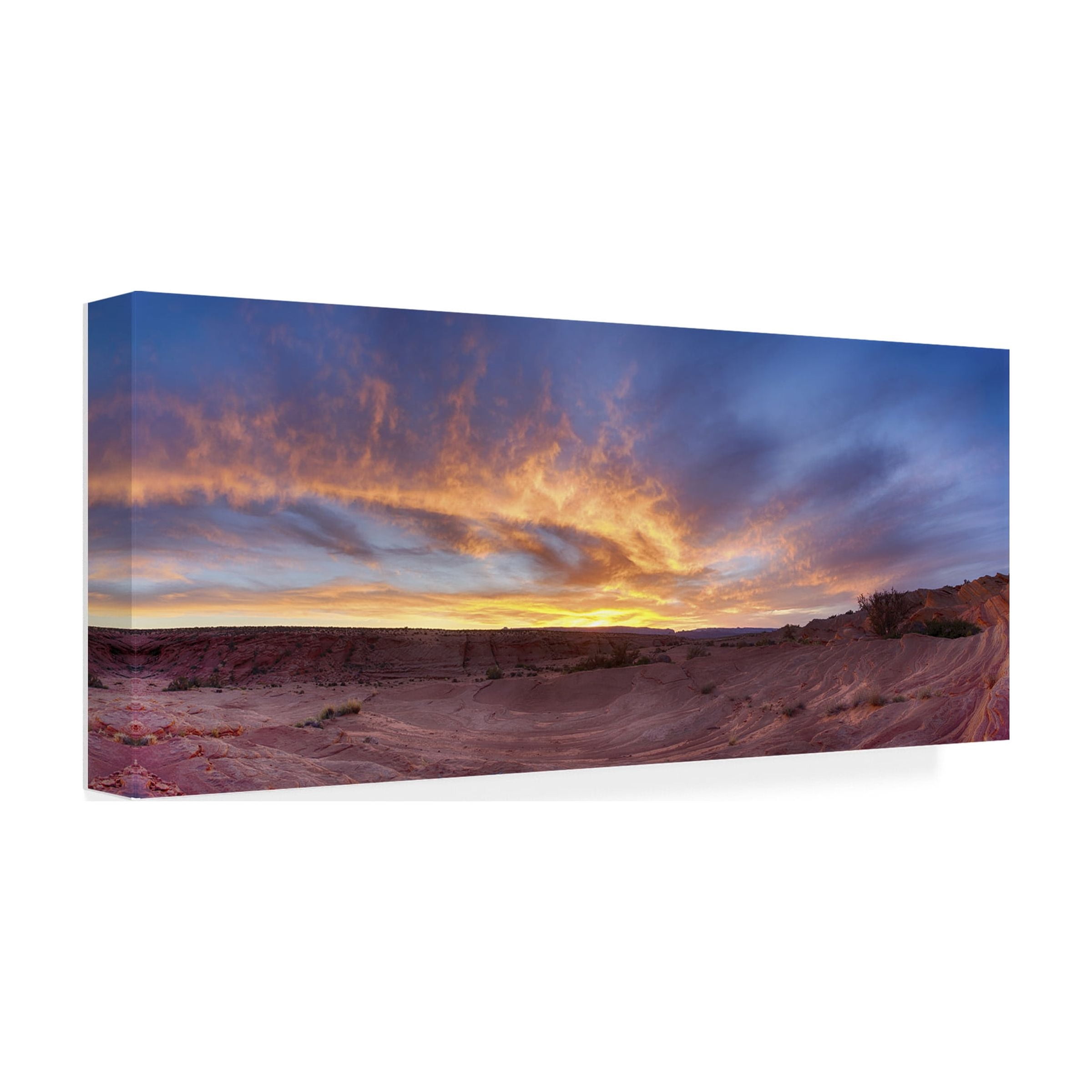 Moises Levy 'Fire Clean' Canvas Art
