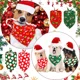 thumbnail image 4 of Accesorios Para Perros Y Gato Elementos De Navidad Paliacate, 4 of 8