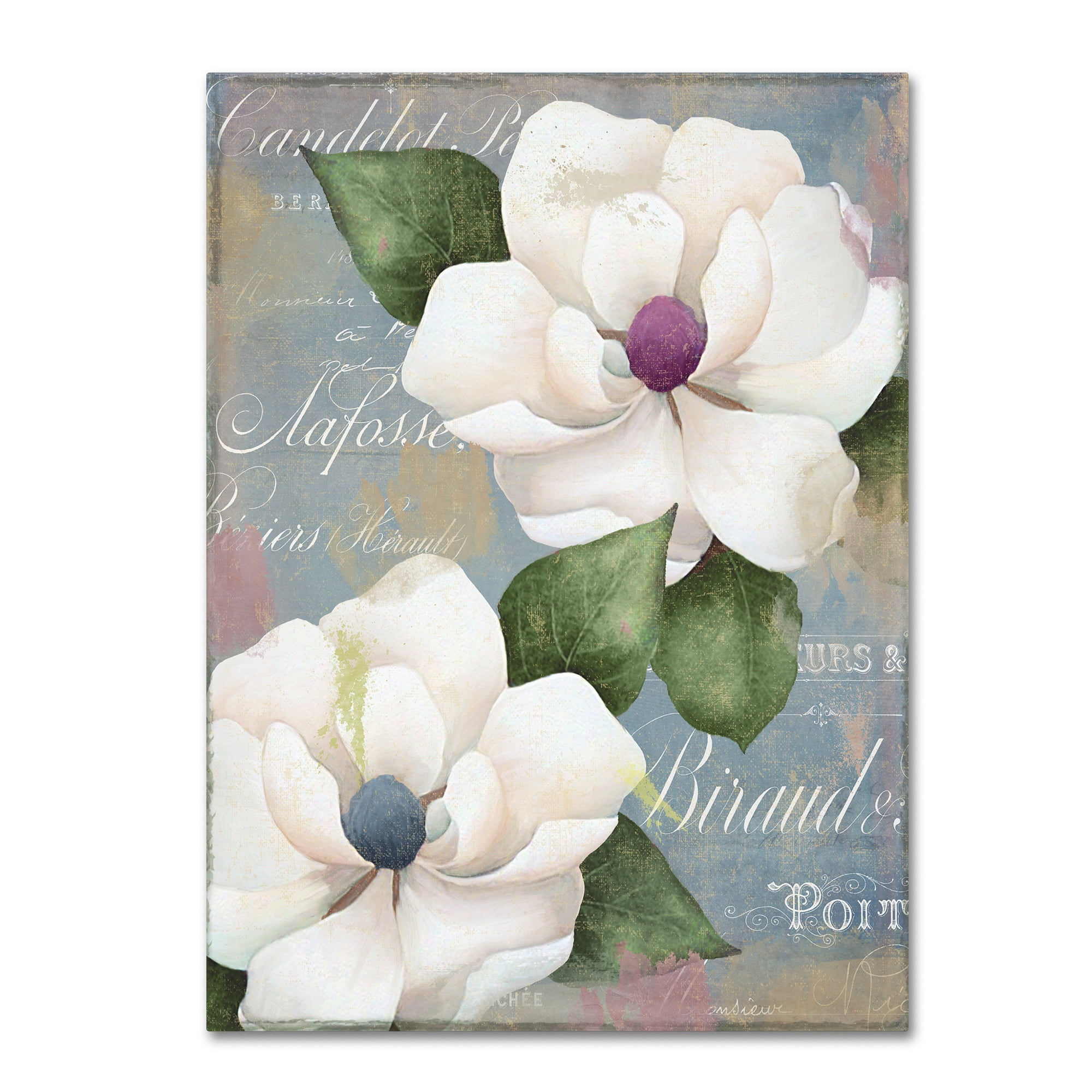 Trademark Fine Art "Southern Charms" Canvas Art by Color Bakery