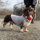 thumbnail image 5 of Chaqueta cálida de forro polar para perro con correa con junta tórica, abrigo de invierno para perros pequeños, ropa para perros para clima frío, 5 of 5
