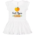 thumbnail image 3 of Inktastic Fort Myers Florida Orange in Heart Girls Baby Dress, 3 of 5