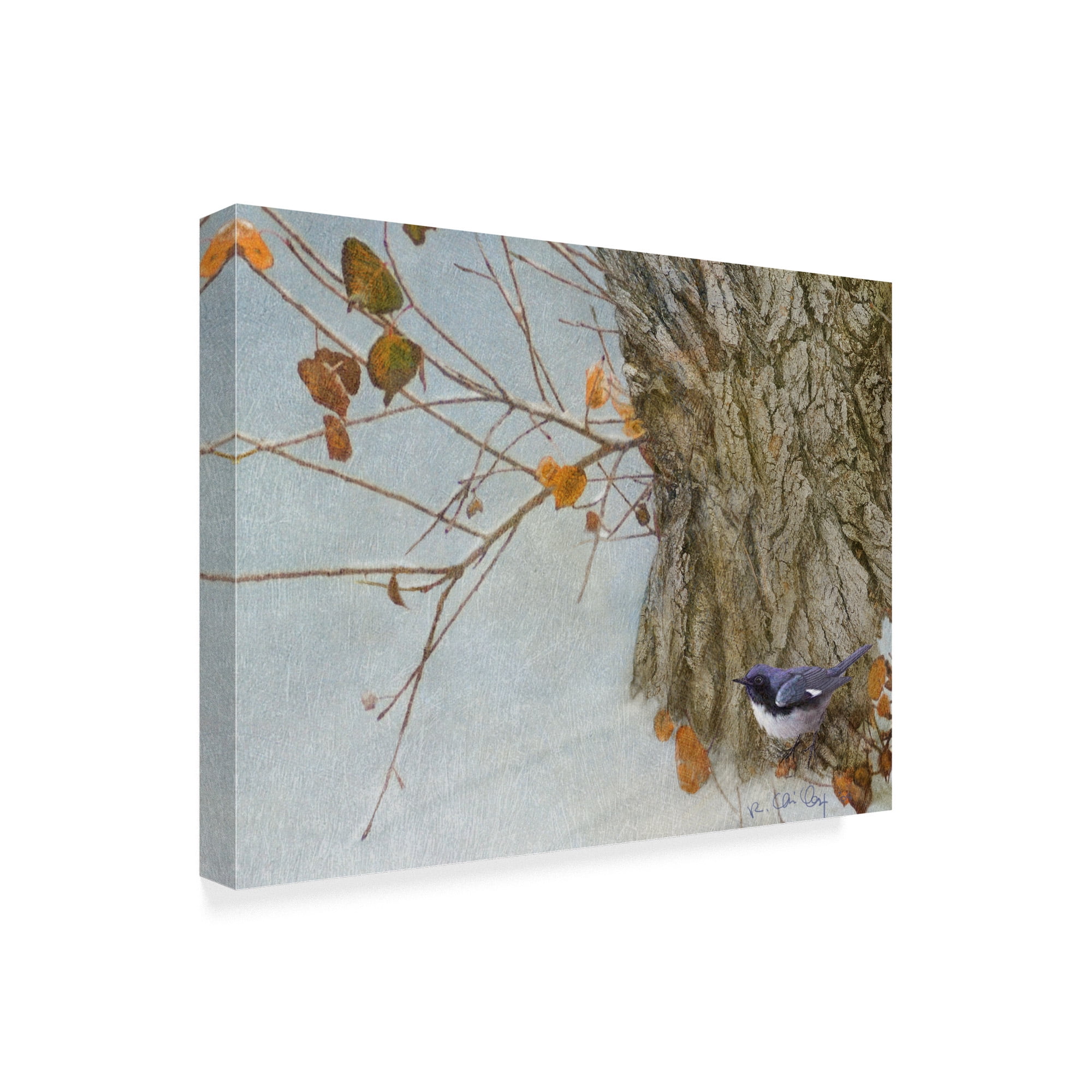Trademark Fine Art 'Late Snow Warbler' Canvas Art by Chris Vest