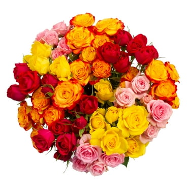 Fresh-Cut Spray Roses Flower Bunch, Minimum of 9 Stems, Colors Vary