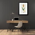 thumbnail image 4 of Robert Jacob Gordon 16x24 Black Modern Framed Museum Art Print Titled - Lachenalia Aloides (L.F.) Engl. Var. Aurea (Opal Flower) (1777 - 1786), 4 of 5