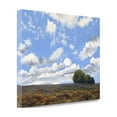 thumbnail image 2 of Tangletown Fine Art 'Big Sky' Print on Wrapped Canvas, 2 of 2